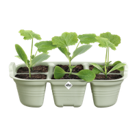 green basics seed tray 22cm stone green